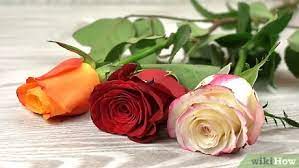 It also helps prevent your water from getting cloudy, and inhibits bacteria growth, both of which can cause your flowers to lose their freshness. 4 Simple Ways To Preserve Flowers In A Jar Wikihow