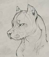 Ivana On Instagram Pitbull Boy Never Actually Drew One Before I Guess Now S The Time Do In 2020 Dog Sketch Dog Drawing Pitbull Art