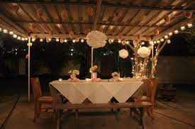 These party lights are easy to diy and are affordable too. Outdoor Birthday Party Ideas Are Perfect For Celebrating Kids Birthdays Description From Elegant Birthday Party Outdoors Birthday Party Classy Birthday Party