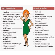 My Blog My Wordpress Blog Hyperthyroidism Hypothyroidism Thyroid Disease