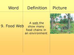 Ecologists can broadly lump all life forms into one of two categories called trophic levels: Warm Up What Is An Example Of A Community Of Greensboro Humans Ppt Video Online Download