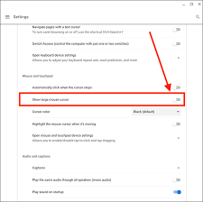 This is a good option because the mouse cursor by default is black. How To Make The Mouse Pointer Larger In Chrome Os My Computer My Way