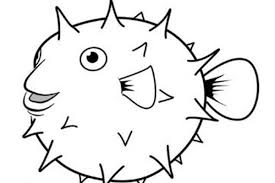 Puffer fish coloring pages are a fun way for kids of all ages to develop creativity focus motor skills and color recognition. Fish Coloring Pages For Android Apk Download