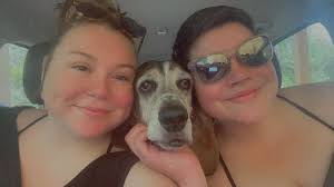 My boy Asher loves his new hoodie😍 even though his face says otherwise😂😂  I also finally found cookie dough bites🤤