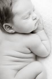 Newborn Model Call El Dorado Hills Susannah Gill Photography Wedding Newborn And Family Photographer Serving Sacramento El Dorado Hills Folsom Roseville Rocklin Granite Bay Tahoe And The Bay Area San Francisco