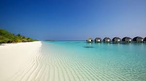 Download Wallpaper 2560x1440 Beach Ocean Sand Palm Trees Bungalows Widescreen 16 9 Hd Background Anime rain wallpapers for free download. download wallpaper 2560x1440 beach
