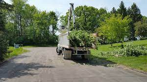 Menu & reservations make reservations. Professional Tree Service Little Falls Mn