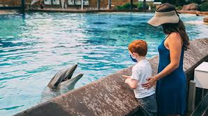 The seaworld & aquatica orlando preschool card is available for kids who are florida residents and are 5 years old and younger at the time of redemption at the park. Fun Card Offers Seaworld San Diego