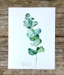 Eukalyptus Original Aquarell Bild Botanik Poster Grune Botanical Illustration Watercolor Botanical Art Watercolor Plants