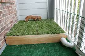 This fence doesn't even need to keep your dog contained; How To Build An Outdoor Dog Potty Area On Concrete Healthy Homemade Dog Treats