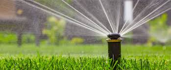Residential pest control in central florida. Best Watering Habits For Central Florida Lawns Bee Green Pest Control
