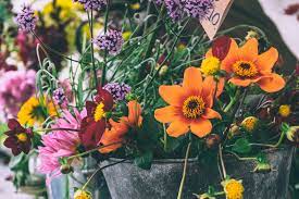 Check spelling or type a new query. Insect Repelling Plants Flowers To Keep Bugs Away