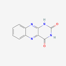 Image result for Allocassine