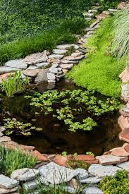 Maybe you would like to learn more about one of these? Pond Sealer How To Seal A Pond Naturally Best Products Methods Backyard Landscaping Side Yard Landscaping Outdoor Landscaping