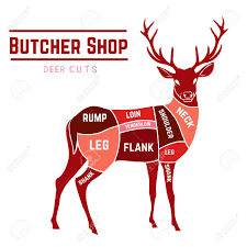 Diagram For Butchering A Deer Diagram For Butchering A Deer