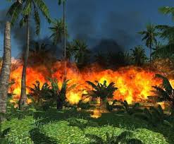 Image result for Image lord of the flies rescue