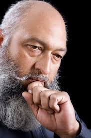 Purple barb stock image. Image of desperate, grand, lifestyle