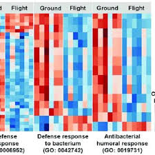 PDF) Innate Immune Responses of Drosophila melanogaster Are Altered by  Spaceflight