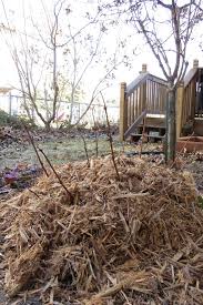Should you cut hydrangea blooms? How To Care For Hydrangeas In Winter Diy Network Blog Made Remade Diy