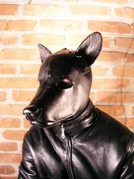Ljplus Ru Img4 V O Vombatkin Dog Mask 1 Jpg Dog Mask Funny Dogs Dog Pictures
