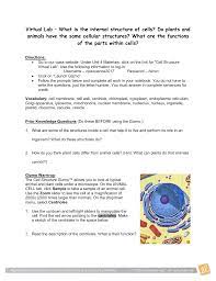 Atp, bacteria, carbon dioxide (co 2 ), cell same thing as question number 1. Cell Types Gizmos C Answer Key Student Exploration Cell Types Gizmo Answers Page 1 Line 17qq Com Reticulum Golgi Apparatus Lysosome Mitochondria Nuclear Envelope Nucleolus Nucleus Organelle Plasma Membrane Plastid