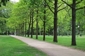 If writing or emailing is not your thing, feel. Parks In Puchong Style Puchong Co