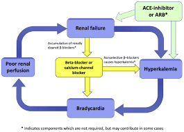 Albuminuria or abnormal biopsy) or Brash Syndrome Litfl Ccc