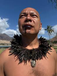 Meaning of the word pakeha in New Zealand history