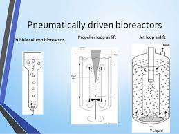 Plant cell suspension culture, consisting of dedifferentiated plant cells grown in vitro and amenable 2004) and an acoustic mist bioreactor in which a nutrient mist is generated by an acoustic field (suresh et al. Bioreactors For Plant Cell Cultures