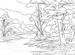 Search through 623,989 free printable colorings at getcolorings. Amazon Com The Bob Ross Coloring Book 9780789327727 Bob Ross Books Coloring Books Lost Ocean Coloring Book Bob Ross