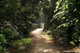 Deze wandeling gaat over het landgoed twickel dat ongeveer 4.000 ha groot is. Wandelingen Een Weblog Met Wandelroutes Wandeling Delden Umfassungsweg