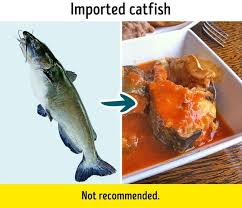 Jadi bandeng tidak hidup di air laut, juga air tawar. 6 Jenis Ikan Yang Sebaiknya Tak Kamu Makan Meski Umum Di Pasaran Citizen6 Liputan6 Com