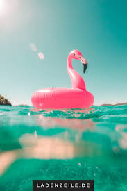 Schwimmtiere Urlaub Endlich Urlaub Pool Spielzeug