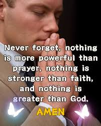 GOD'S BEAUTIFUL BUTTERFLIES AND FLOWERS