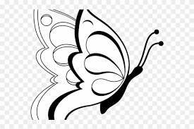 See drawing butterfly stock video clips. White Flower Clipart Clip Art Butterfly Drawings In Pencil Free Transparent Png Clipart Images Download