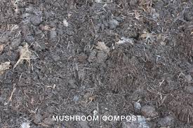Alibaba.com offers 1,778 mushroom soil products. Compost Toowoomba Soil Improvers Earthlife Garden Mate Landscape Centre