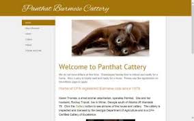 Finding a burmese cat breeder in massachusetts can be difficult, but we've done all of the hard work for you. North America Burmese Cat Breeders Directory O Kitty