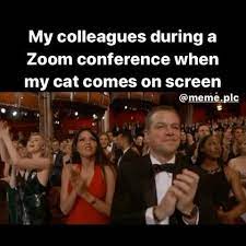 Cat Zoom Bomb Video Teacher Memes Teacher Humor Teacher Style