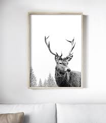 Black And White Deer Wall Art Deer Print Antler Art Print Deer Artwork Deer Print