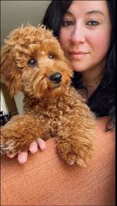 Our dog Pete at the Cape May Lighthouse ❤️
