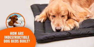 This diy dog bed cover tutorial includes all the steps and materials to create a washable dog bed for your pet. How Are Indestructible Dog Beds Built Diy Designs Materials Etc
