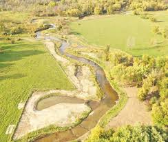 Image result for Nothosaerva