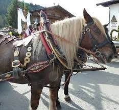 Maybe you would like to learn more about one of these? Prachtvolle Prozession Zu Pferd