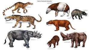 Early Hoofed Animals Prehistoric Animals Extinct Animals Ancient Animals