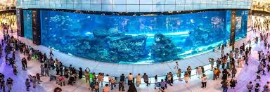 The dubai mall downtown dubai 800 0444 9012 see map and directions. 10 Fascinating Facts About Dubai Mall Musafir