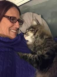 Finding owner of abandoned stray cat in the area