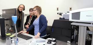 Rathmell Leads Ambitious Charge Against Cancer