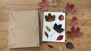 Wählt eine deckblatt vorlage aus und legt gleich los mit eurem herbarium. Herbarium Anlegen Tipps Vorlagen Betzold Blog