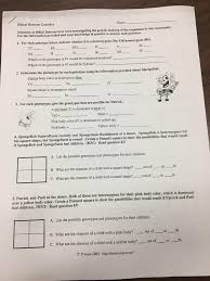 Use the information provided and your knowledge of genetics to answer each question. Tfw You Re Nostalgic For A Biology Worksheet Based On Spongebob Teenagers
