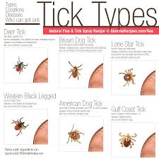 A01ff916cb088310ce2147b77a91365c Jpg 900 900 Pixels Tick Repellent Ticks Repellent